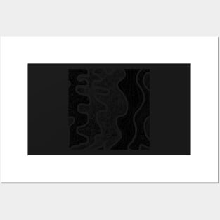 Spider's Lair. An abstract design in black and white. Posters and Art